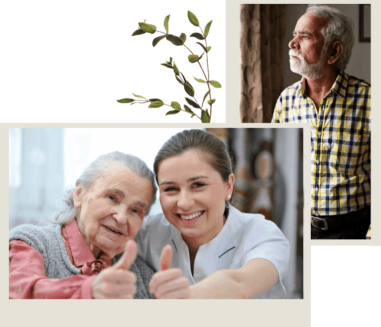 Elderly Care